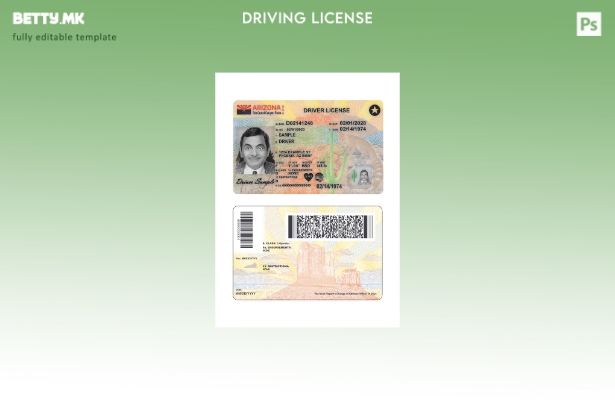 Модерен стил присутен шаблон за возачка дозвола во САД Аризона